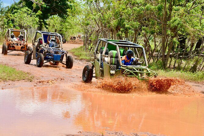 Family Buggy Adventure in Punta Cana – Up to 4 People per Vehicle - Who Should Book This Family Buggy Adventure?