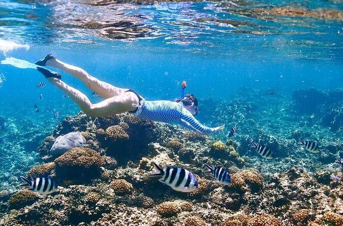 Family Snorkeling Adventure Punta Cana - How Big Is This Group, Really?