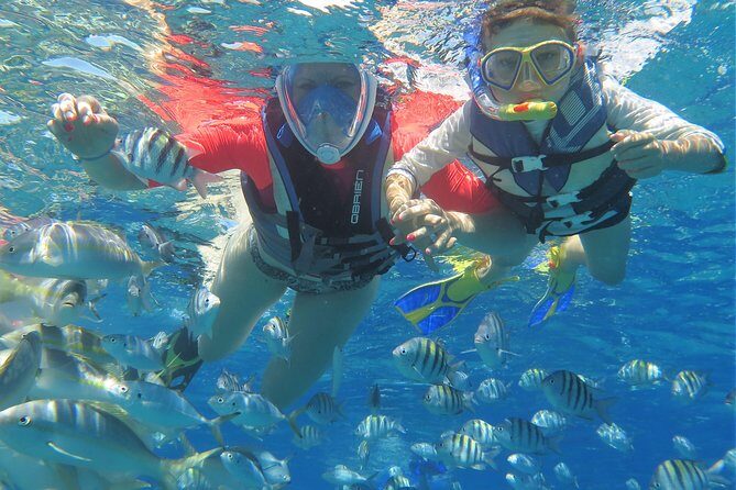 Family Snorkeling Adventure Punta Cana - Price and Value: How $75 Really Breaks Down