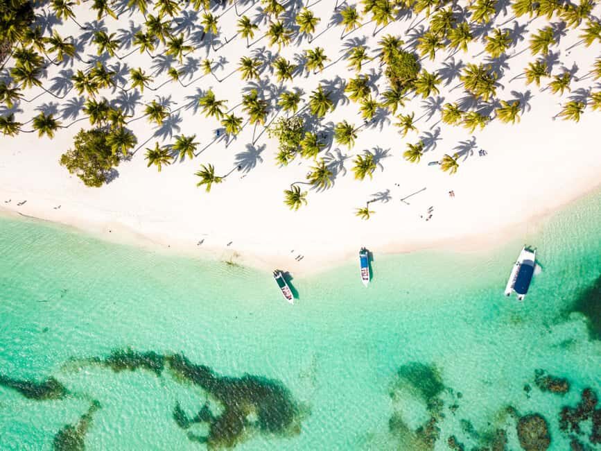 From Punta Cana: Saona Island Cruise with Private Beach - Key things you’ll notice on this Saona cruise
