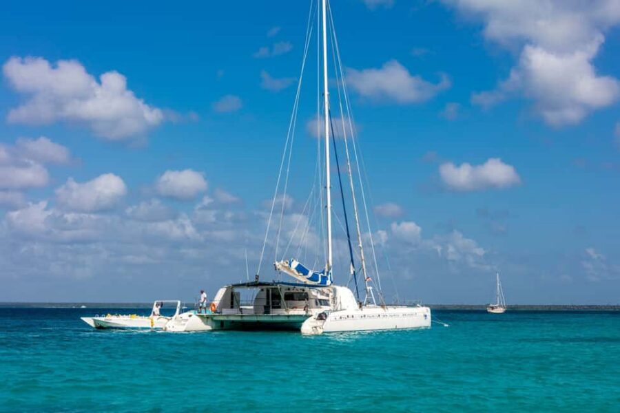 From Punta Cana: Saona Island Cruise with Private Beach - The snorkeling stop: what to expect and how to make it worthwhile