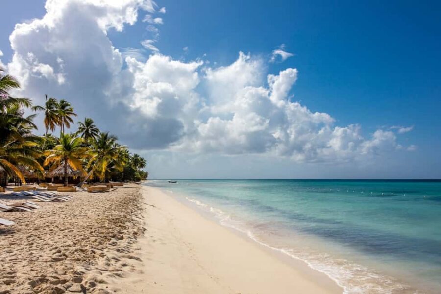 From Punta Cana: Saona Island Cruise with Private Beach - Lunch and the open bar: included comfort, with one seasonal twist