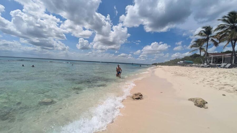 From Santo Domingo: Catalina Island Day Tour - Key Things I’d Plan Around
