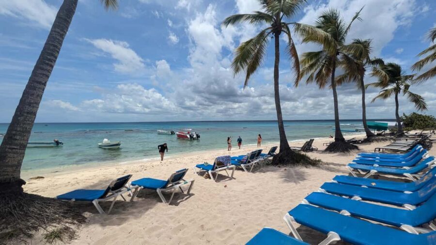 From Santo Domingo: Catalina Island Day Tour - The Van Ride to La Romana: 2 Hours, Then a 30-Minute Breakfast Stop