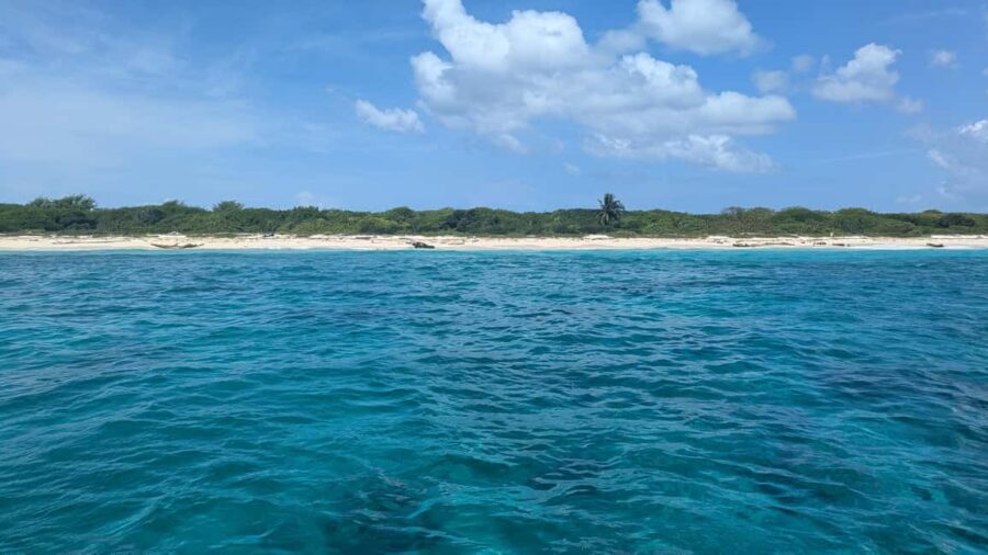 From Santo Domingo: Catalina Island Day Tour - The Snorkeling Moment: 30 Minutes, Equipment Included, and Safety First