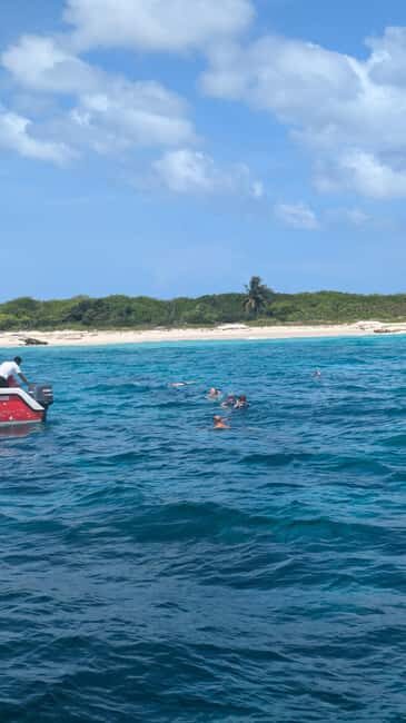 From Santo Domingo: Catalina Island Day Tour - Beach Time on Catalina: 3 Hours, Loungers, and a Beach Buffet Lunch