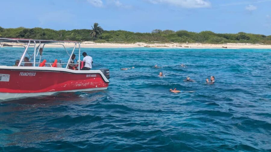 From Santo Domingo: Catalina Island Day Tour - Open Bar on the Island: Unlimited National Drinks, Plus Soft Drinks