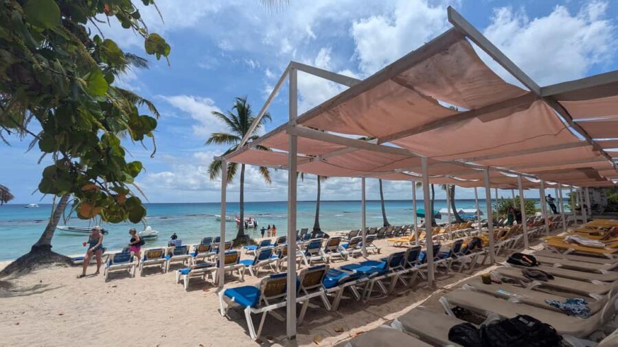 From Santo Domingo: Catalina Island Day Tour - Morning Pickup at Parque Colón and Puerta del Conde: Be There Before 7:30