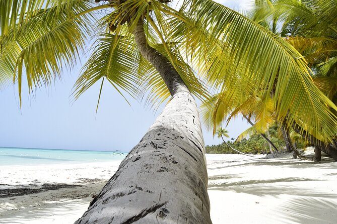 From Santo Domingo Saona Island Catamaran Tour with Lunch & Bar - Isla Saona and Laguna Azul: Calm Water Swim Time