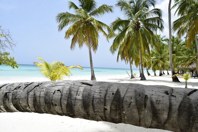 From Santo Domingo Saona Island Catamaran Tour with Lunch & Bar - The Bayahibe Stop and Heading Back Toward Santo Domingo