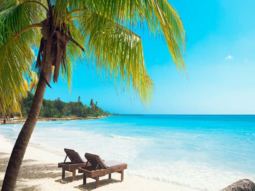 From Santo Domingo: Saona Island Day Trip with Lunch - Languages and People Skills: You’ll Be Understood