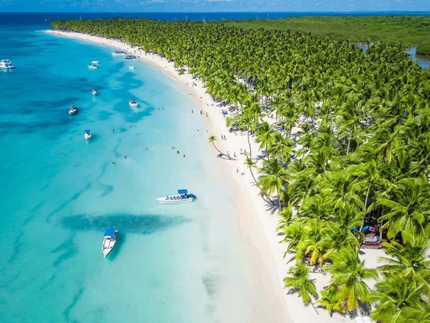 From Santo Domingo: Saona Island Day Trip with Lunch - Getting Started in Santo Domingo: Meeting Point and Timing
