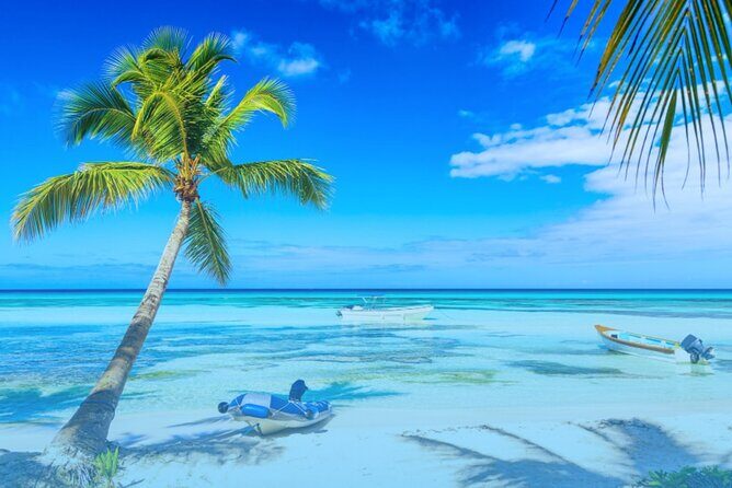 From Santo Domingo: Saona Island For Small Group Catamaran - Blue Lagoon sandbar (40 minutes): the quick reset on open water
