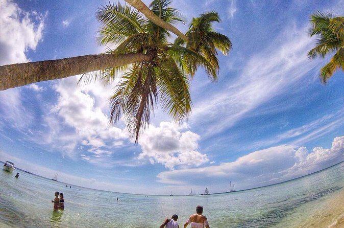 Full-Day Cruise of Isla Saona from Santo Domingo with Lunch - Time, Restrooms, and Return Ride: the stuff that decides if the day feels worth it