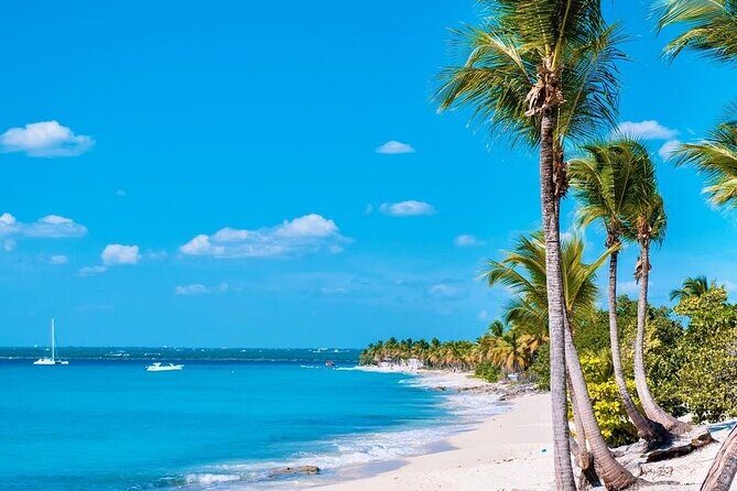 Full Day Excursion to Catalina Island From Bavaro / Punta Cana. - Who this tour suits best (and who should skip it)