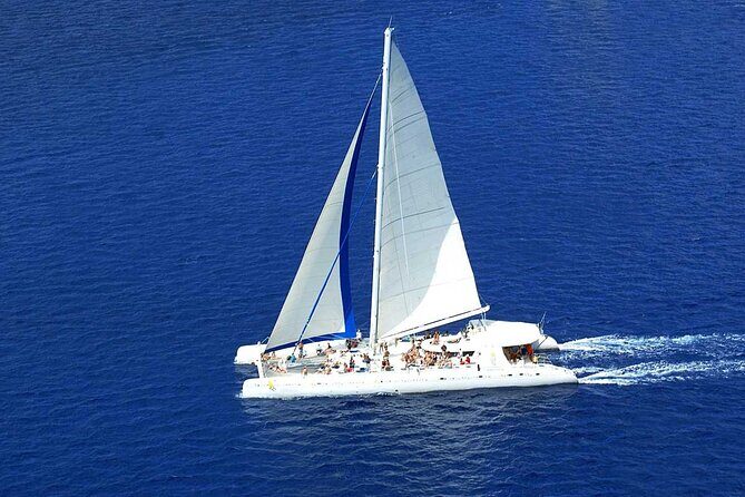 Full Day Excursion to Isla Saona from Punta Cana - Catamaran Party Time: Caribbean Views, Sun Deck Fun, and Included Drinks