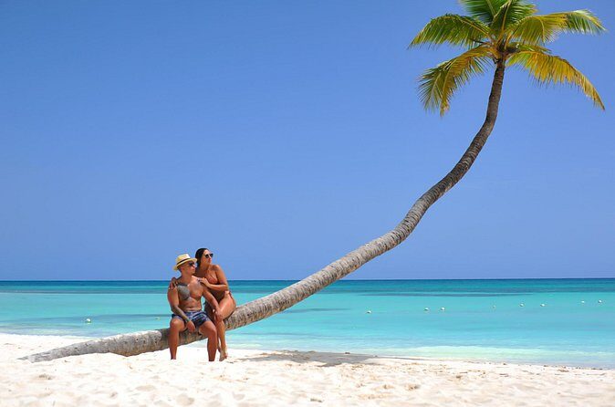 Full Day Excursion to Isla Saona from Punta Cana - Lunch and the Open Bar: Included Value, Typical Buffet Reality