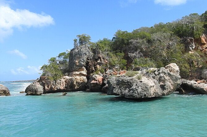 Full Day Isla Bonita Speed Tours - Stop 2: Cayo Arena, mangroves, and the Ocean King Deluxe ride