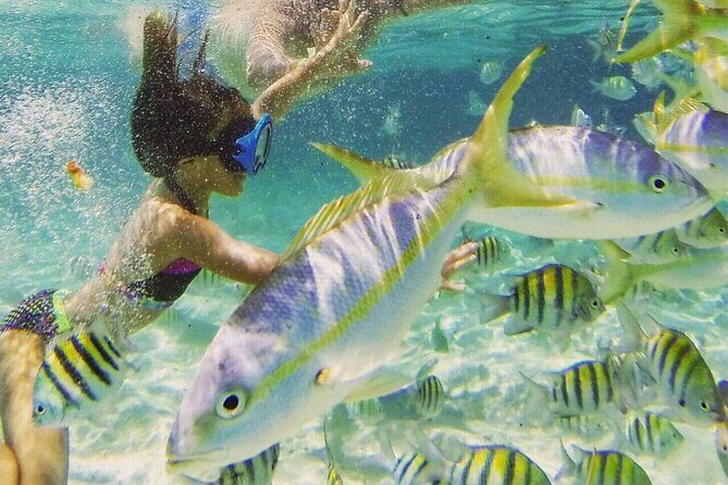 Full Day Isla Bonita Speed Tours - Private tour pacing: do what your group wants
