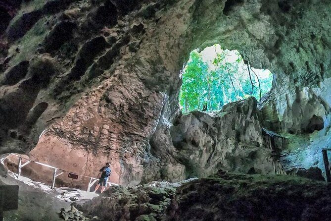 Full-Day Tour of Cayo Levantado and Los Haitises National Park - Price and value: where your $65 goes