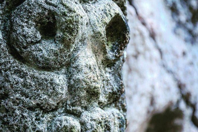 Full-Day Tour of Cayo Levantado and Los Haitises National Park - Should you book Full-Day Cayo Levantado and Los Haitises?