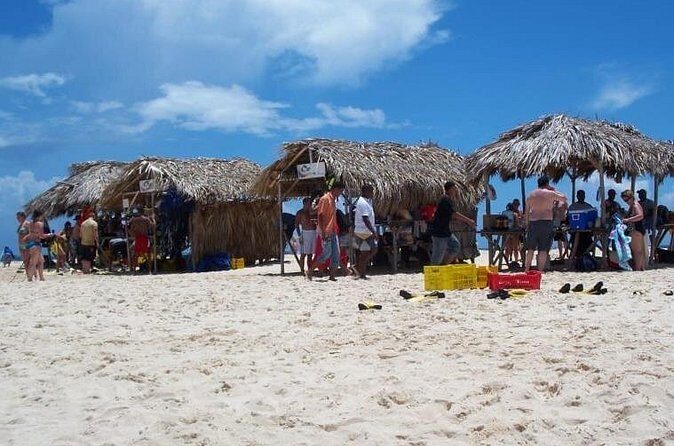 Full Day Tour to Paradise Island - Cayo Arena - Who this Cayo Arena tour is best for