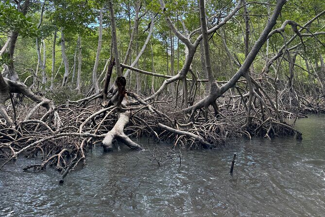 Haitian National Park and fell up - Key highlights you’ll actually care about