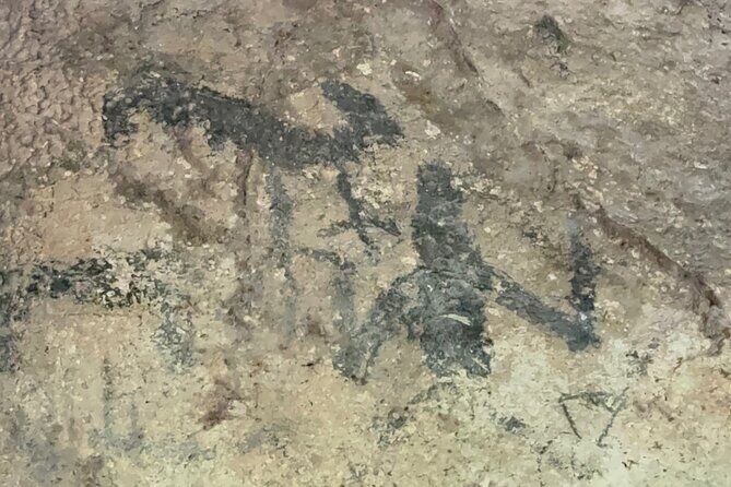 Haitian National Park and fell up - Inside Los Haitises: mangroves, bird island, and Taíno caves
