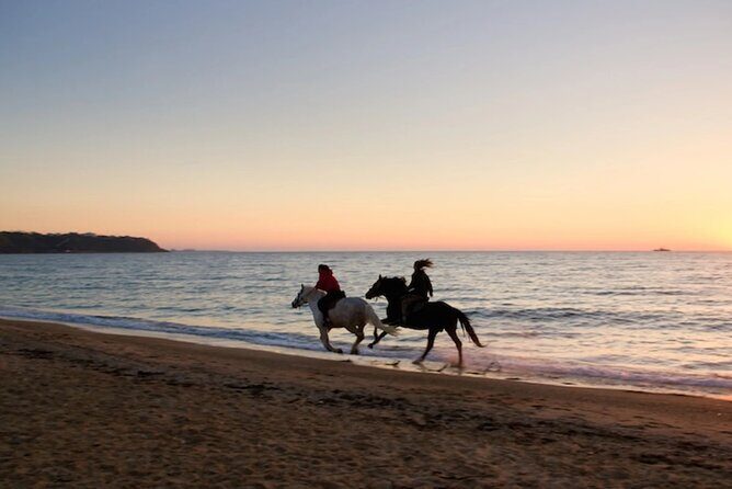 Half-Day Beach Horse Back Riding in Puerto Plata - Bergantin Beach Break and the Bar Stop