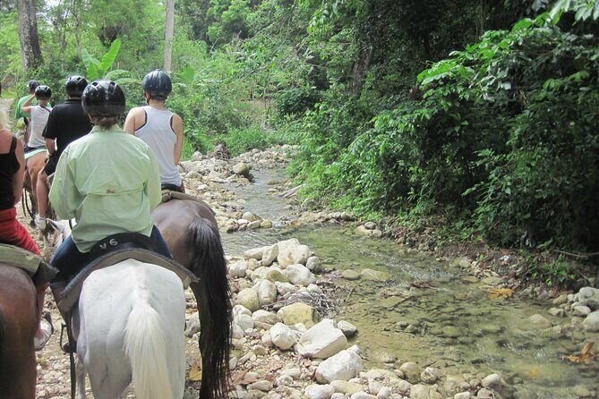 Half-Day Mountain Ride in Puerto Plata - Puerto Plata Drive and the Malecon Neptune Moment