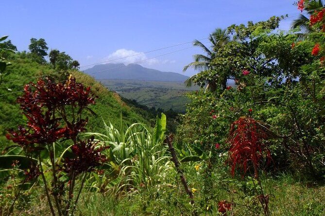 Half-Day Mountain Ride in Puerto Plata - The Mountain Ride: Dirt Roads, Fields, and Real Calm
