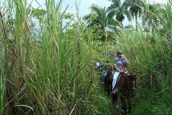Half-Day Mountain Ride in Puerto Plata - Safety Gear and Guide Care: Why It Feels Comfortable