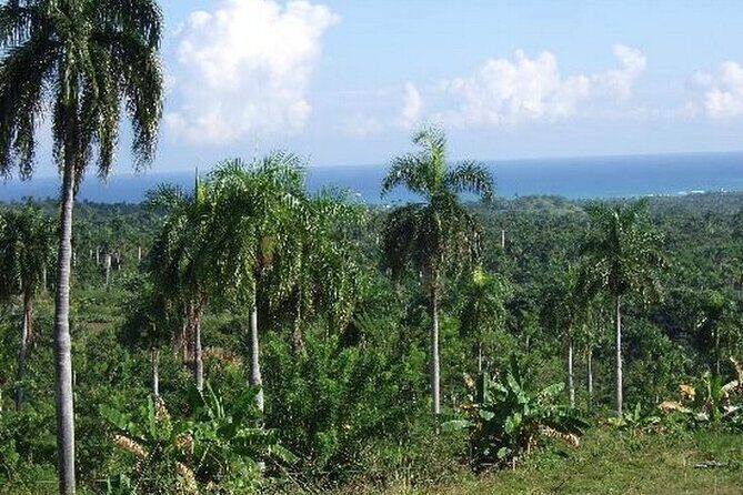 Half-Day Mountain Ride in Puerto Plata - Price Value: Is $69 Worth It for a 2-Hour Ride?