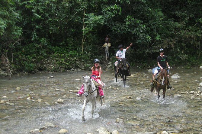 Half-Day Mountain Ride in Puerto Plata - The Half-Day Flow: Drive In, Ride Up, Ride Back