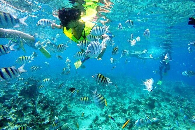 Half Day Sosua Sunset Cruise with Snorkeling - Three Rocks (Los Cabezos): what makes this stop different