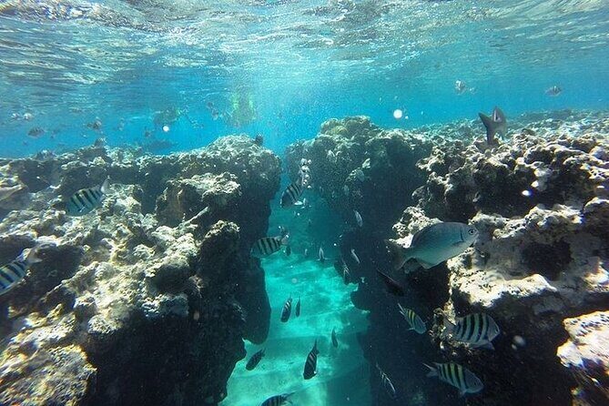 Half Day Sosua Sunset Cruise with Snorkeling - BBQ lunch, soft drinks, and alcohol—what’s actually included