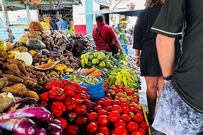 Higuey expedition cultural and historical tour from Punta Cana - The short jungle walk: a real dose of greenery without a full hike