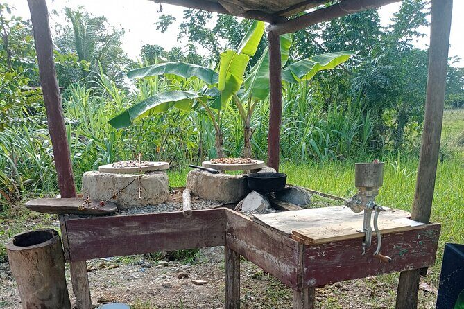 Higuey expedition cultural and historical tour from Punta Cana - Cigar factory workshop: learn the tobacco process and make your own