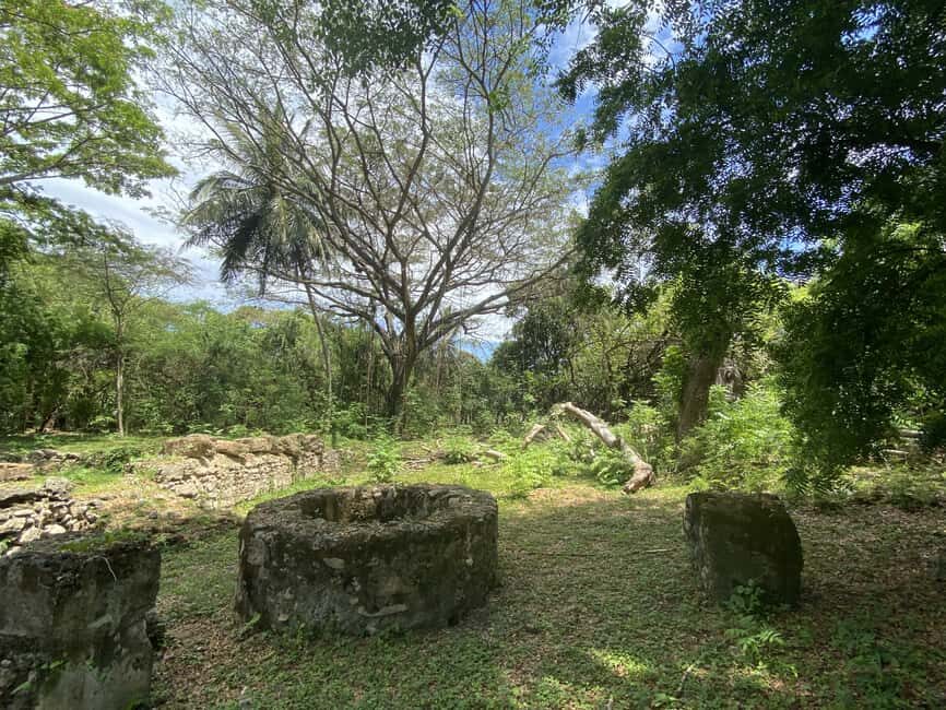 History of Slavery Guided Tour - Rum Museum: tools, sugar factories, and the mechanics of labor