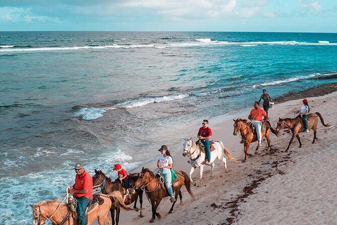 Horseback Riding Adventure to Macao Alto Beaches in Punta Cana - Price and Logistics: Is $84 Worth It?