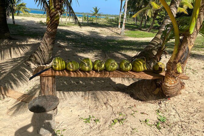 Horseback Riding - Experience between virgin beach and lagoon - Playa Esmeralda Bath: Deserted Sand, Clear Water, Real Relaxation