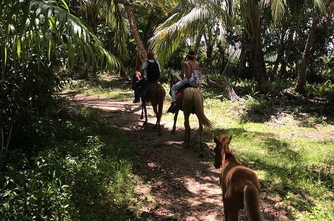 Horseback Riding - Experience between virgin beach and lagoon - Horses, Pace, and What the Guides Do With Mixed Groups