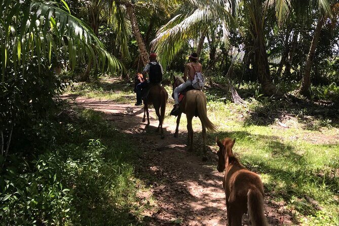 Horseback Riding - Experience between virgin beach and lagoon - Price and Logistics: Is $100 Worth It for 3 Hours?