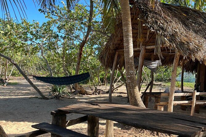 Horseback Riding - Experience between virgin beach and lagoon - Practical Tips for a Smooth Ride in Miches