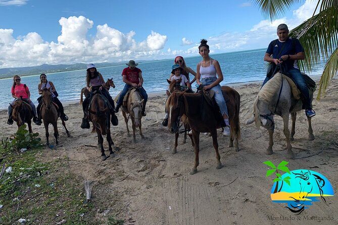 Horseback Riding - Experience between virgin beach and lagoon - Who Should Book This Horseback-and-Lagoon Tour