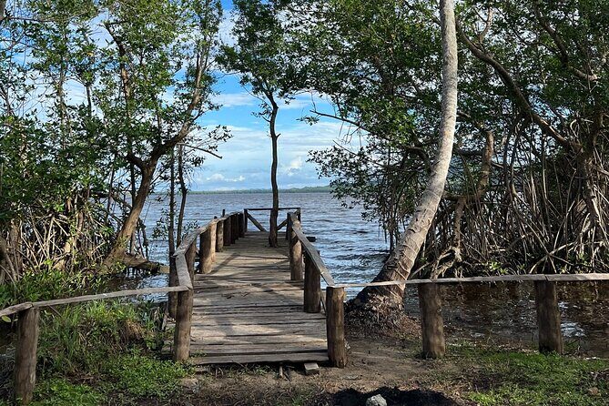 Horseback Riding - Experience between virgin beach and lagoon - Coconut Trees to Laguna Redonda Pier: The Photo Moment