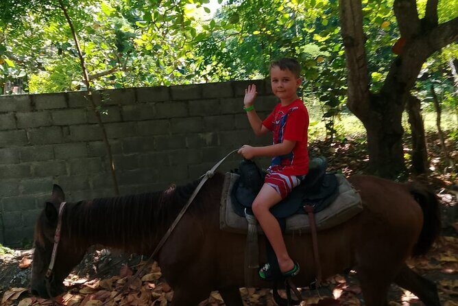 Horseback Riding in the Dominican Countryside from Puerto Plata - Safety orientation first, then you’re matched to a horse