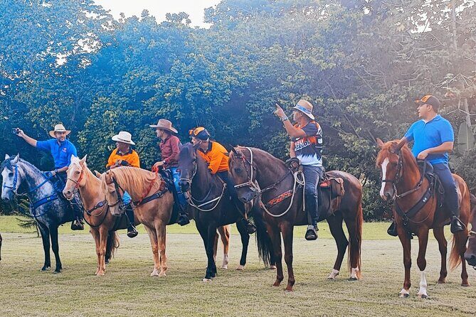 Horseback Riding tour near Santo Domingo with pick up and dropoff - Key things to know before you ride in Higuero