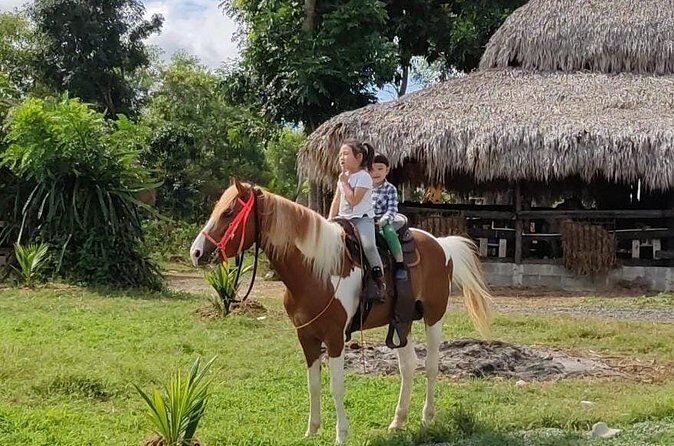 Horseback Riding tour near Santo Domingo with pick up and dropoff - The guided ride: countryside and river views you can actually enjoy