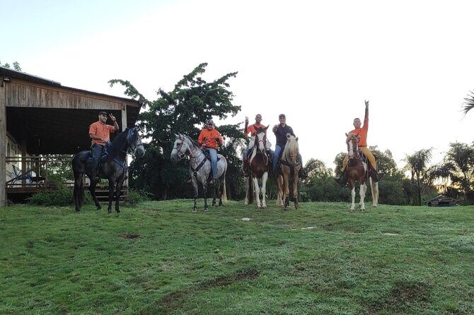 Horseback Riding tour near Santo Domingo with pick up and dropoff - Private tour benefits: no crowding, no unnecessary waiting